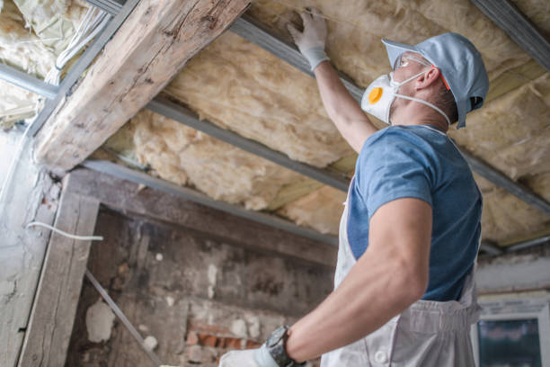 Best Insulation for Specific Applications in Lanark, IL