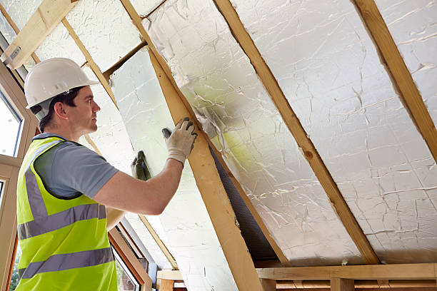 Best Cellulose Insulation in Lanark, IL