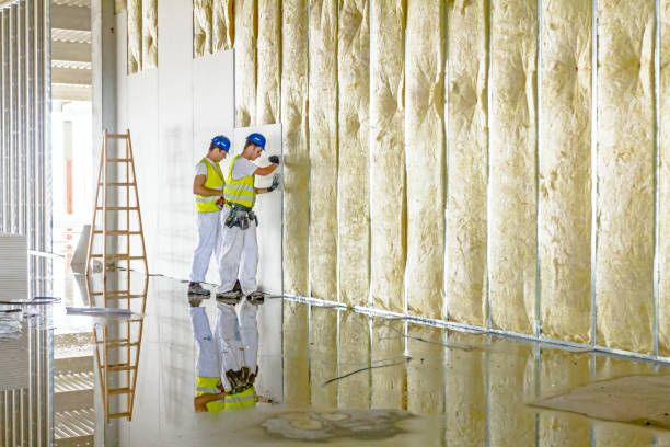 Best Insulation Maintenance and Repair in Lanark, IL